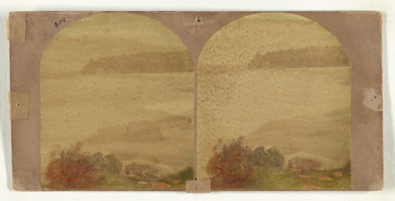 New York Stereoscopic Company