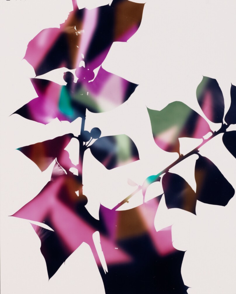 Study (for Holly 3)