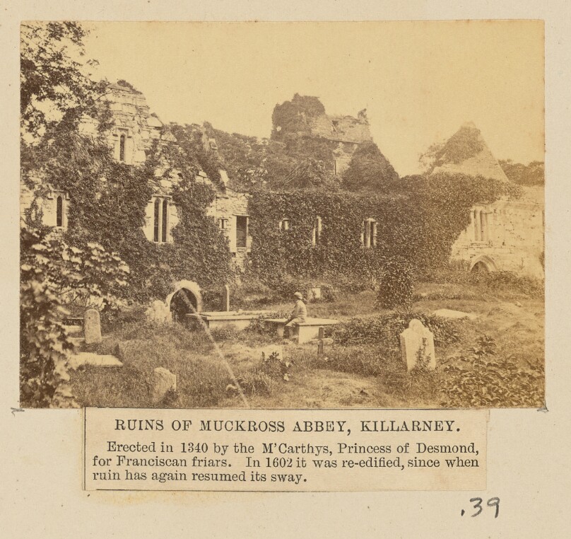 Ruins of Muckross Abbey, Killarney