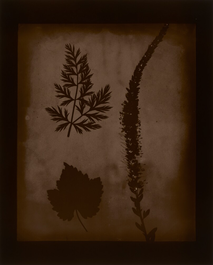 Hiroshi Sugimoto
