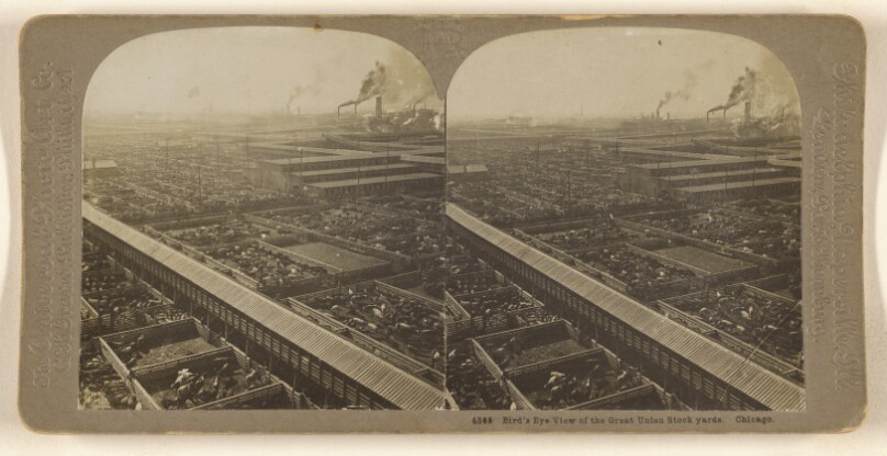 Bird's Eye View of the Great Union Stock yards. Chicago.