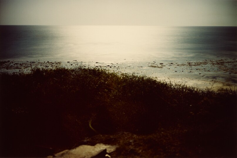 [Seascape]