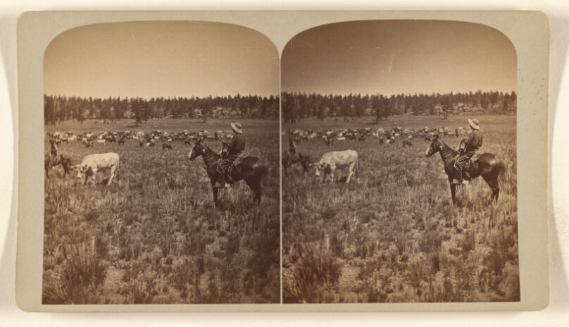 [Roping Scene 1876]