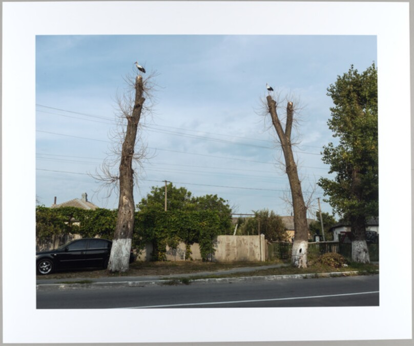 Demidev, Ukraine, July 31, 2012