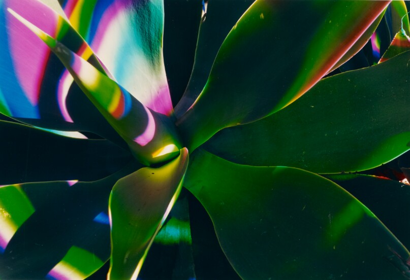 H2