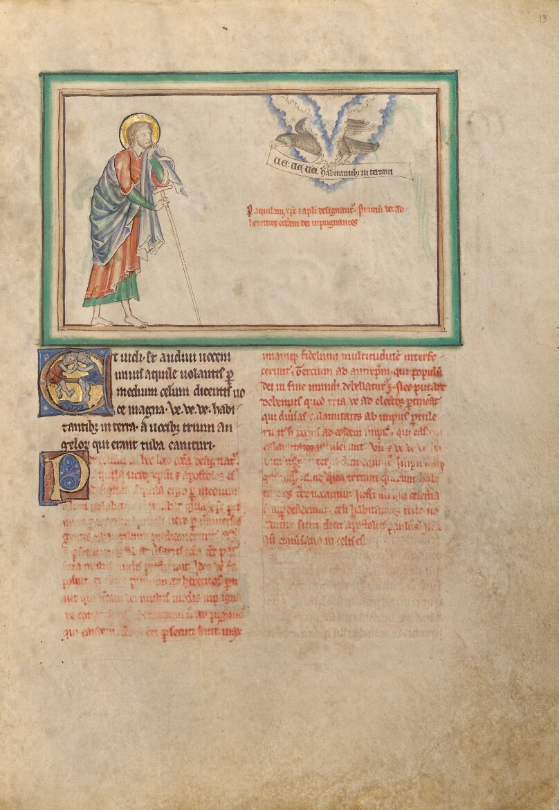 The Woeful Eagle