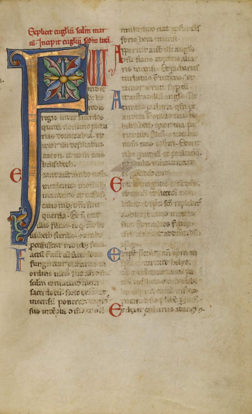 Decorated Initial P