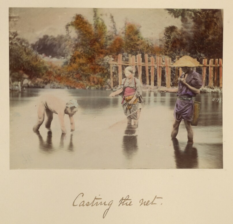 Casting the net