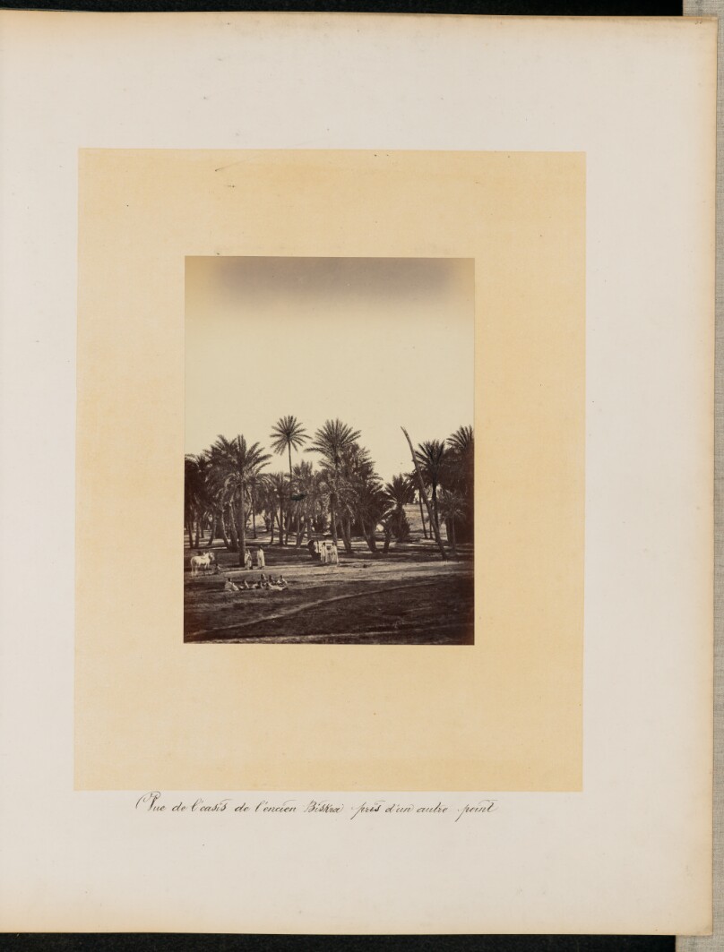 [Rue de l'oasis de Biskra]