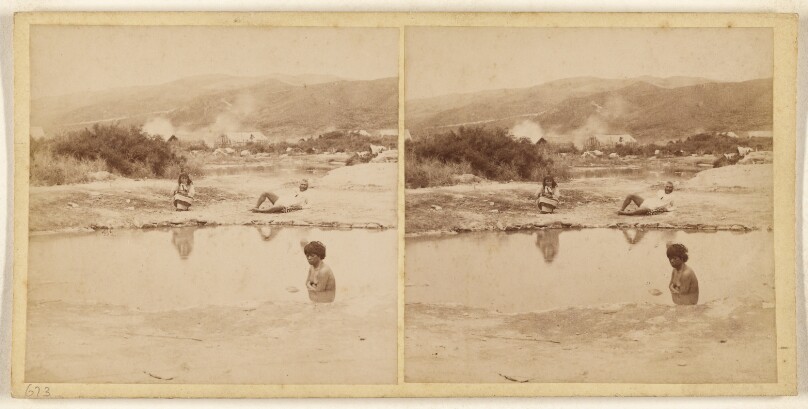 In the Ngawhas - Whakarewawas (?)