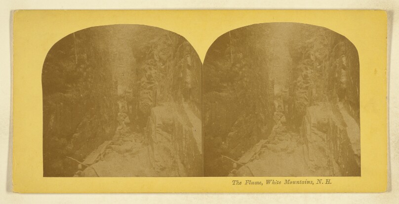 The Flume, White Mountains, N.H.