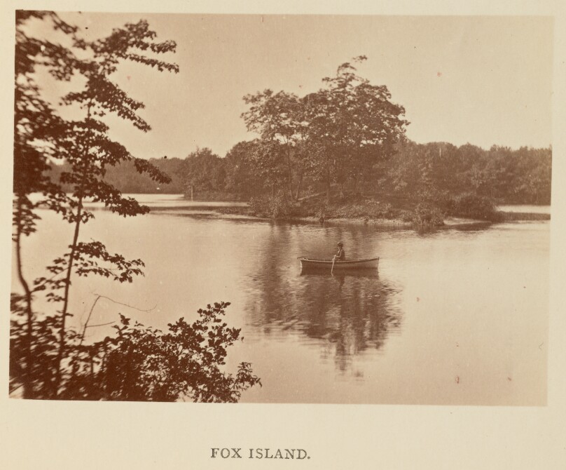 Fox Island