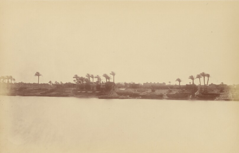 [Banks of the Nile with Palm Trees and Boats]