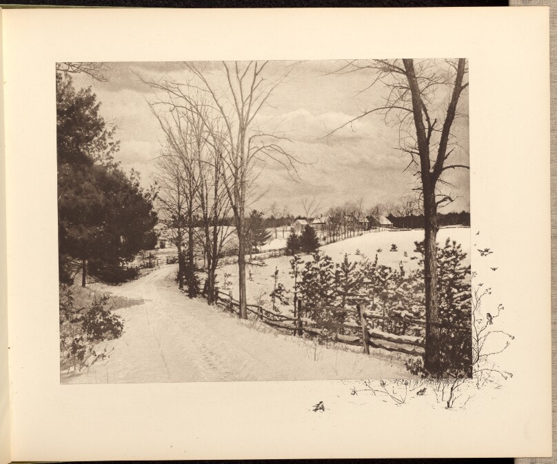 The Country Road in Winter