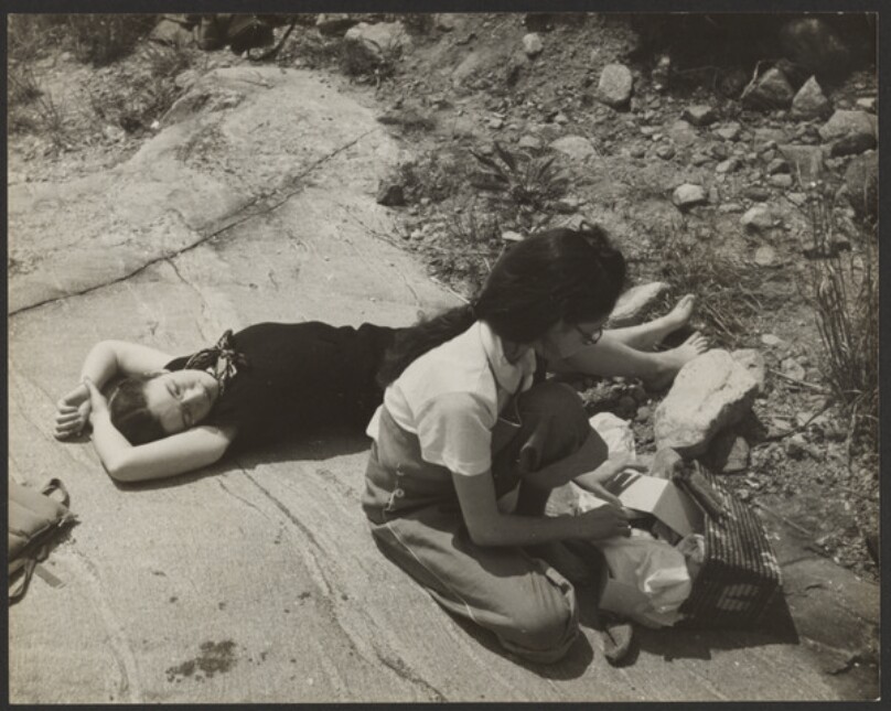 [Class Picnic]