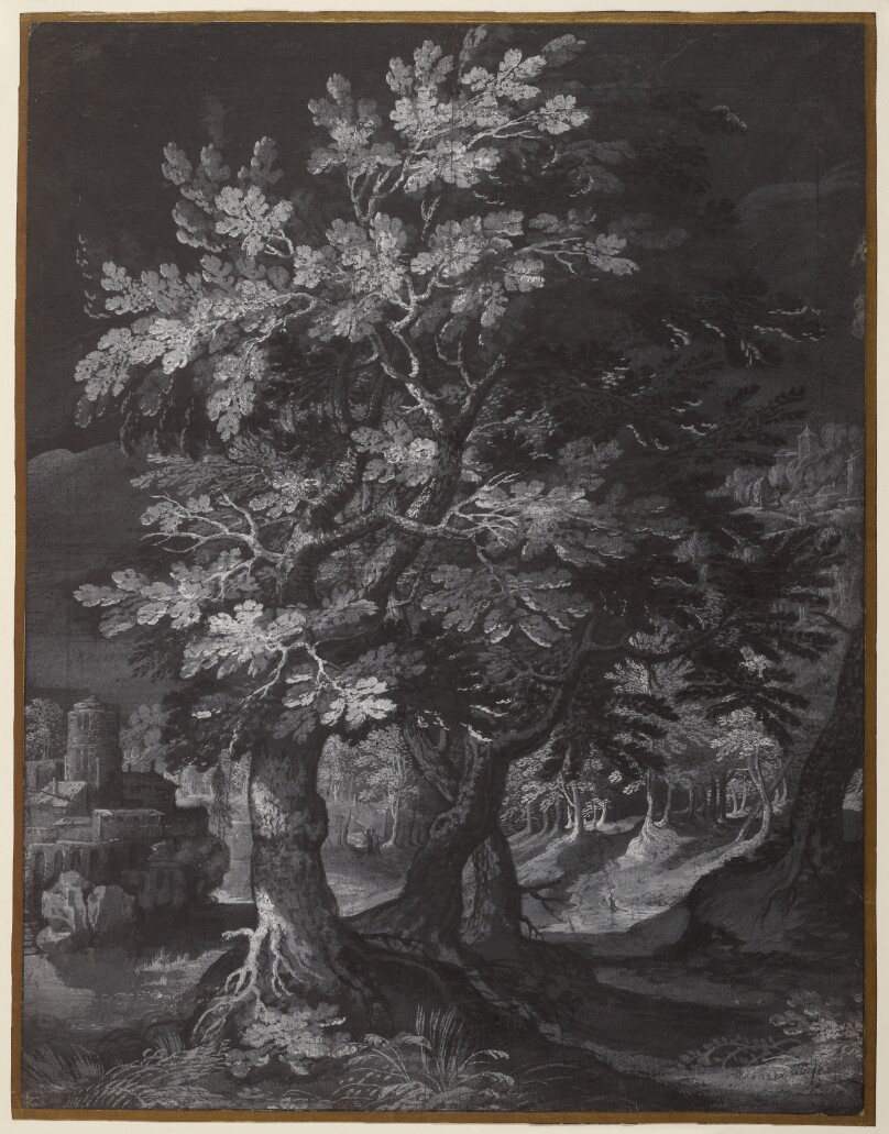 Forest Scene