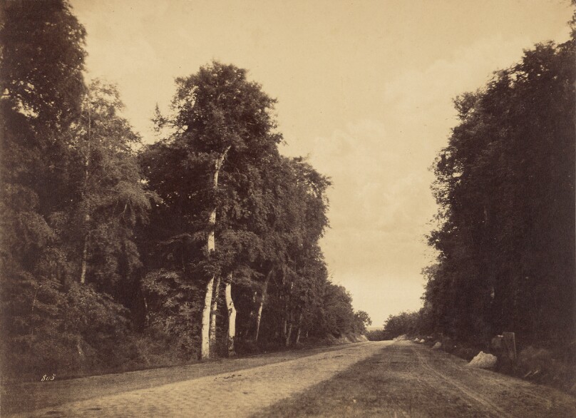 Route de Chailly, Fontainebleau