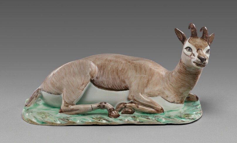 Recumbent Chamois