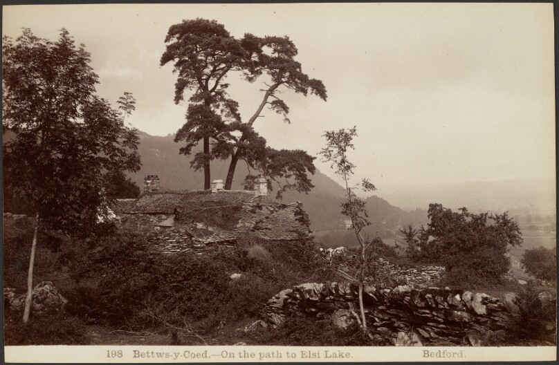 Bettws-y-Coed. On the path to Elsi Lake