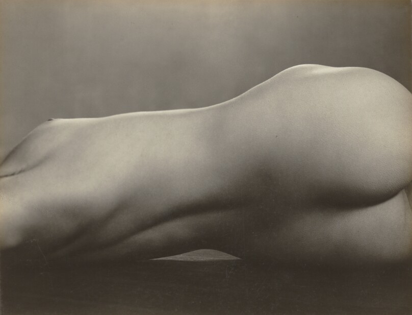 Torso