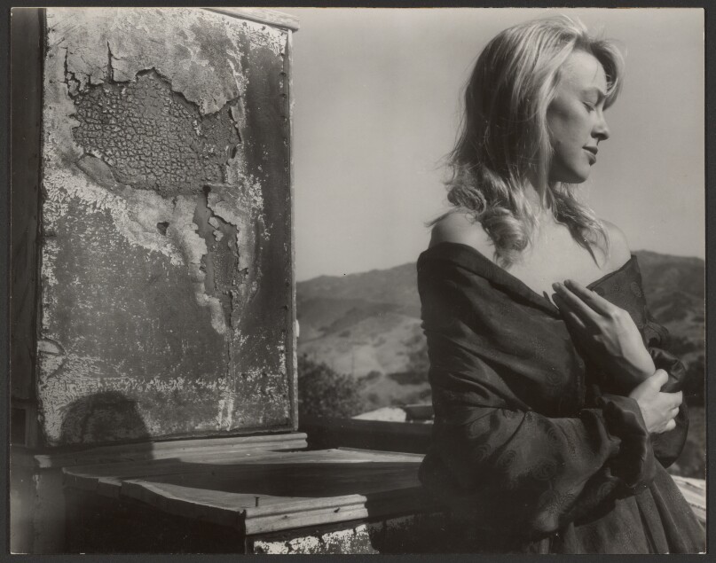 Cheryl with Ice Box Doors, Cornell