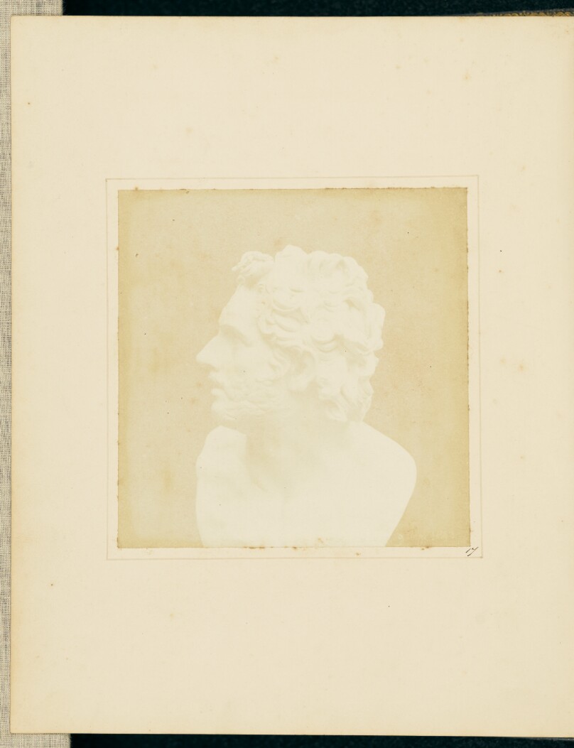 Bust of Patroclus