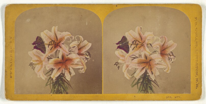 [Flowers with butterfly]