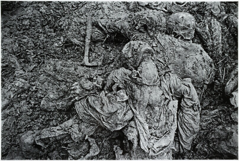 The Mass Grave at Pilica Farm [right]