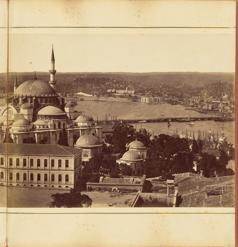 [Plate 2]