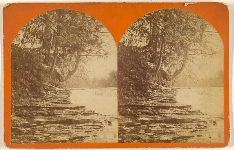 [River view with rocky bank, trees overhanging]