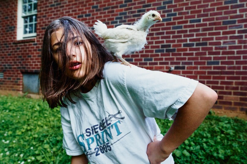 Zoe and the Free Range Chicken