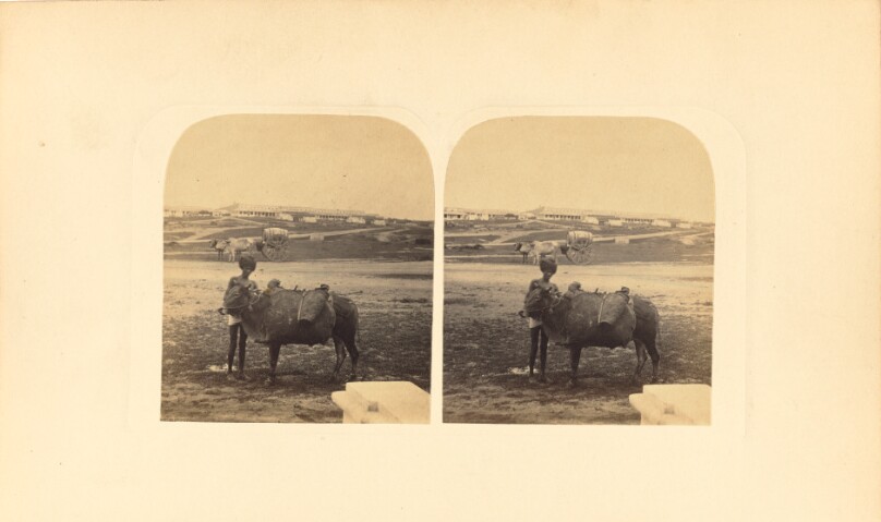 The Bheastie, or Water-Carrier
