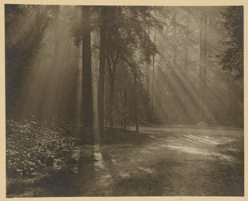 Bois de Vincennes