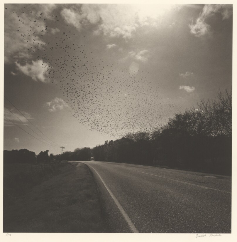 Carretera 82: De Abbeyville a Intracoastal City, Louisiana