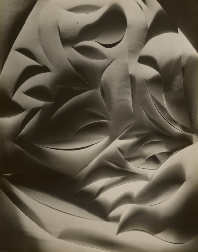 [Cut paper Abstraction]