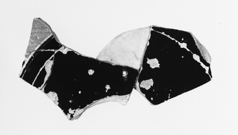 Attic Panathenaic Amphora Fragment (comprised of 4 Joined Fragments)