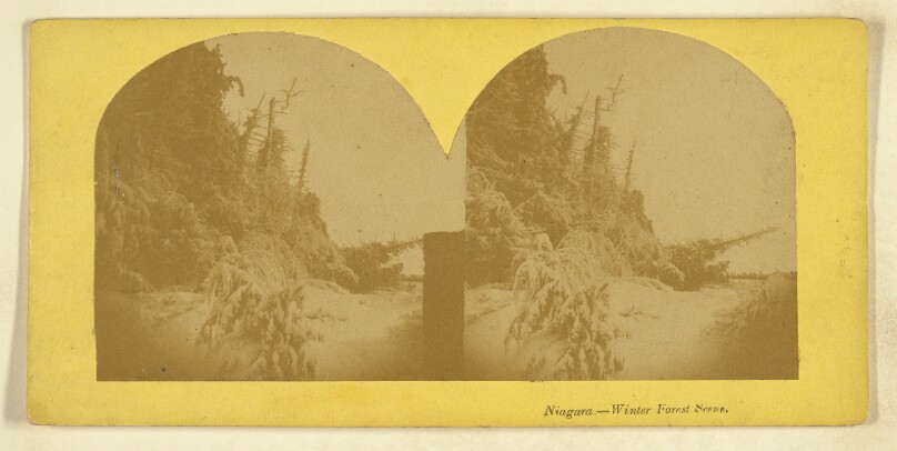 Niagara. - Winter Forest Scene.