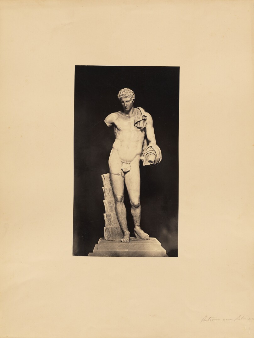 Belvedere Antonius
