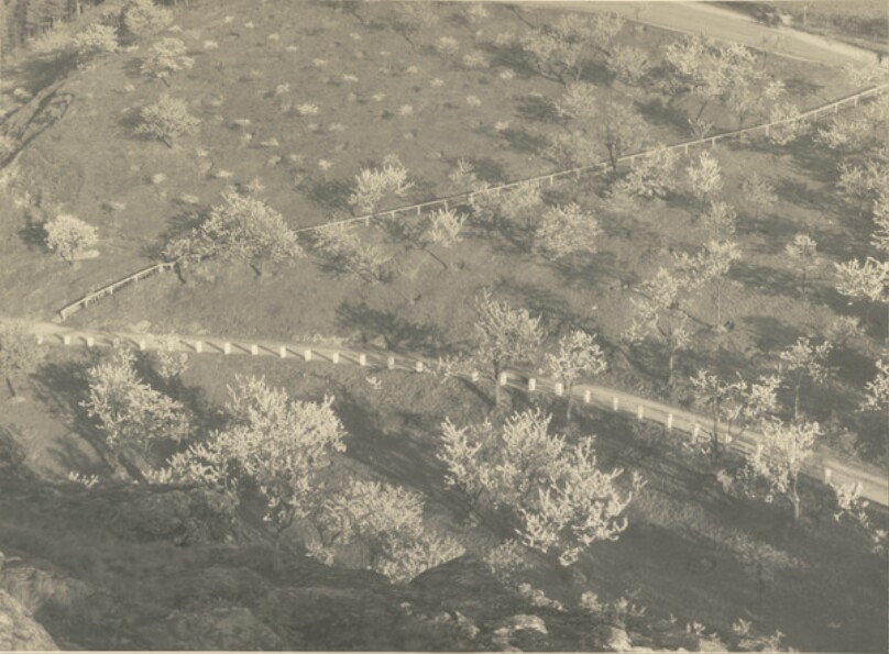 Spring Landscape