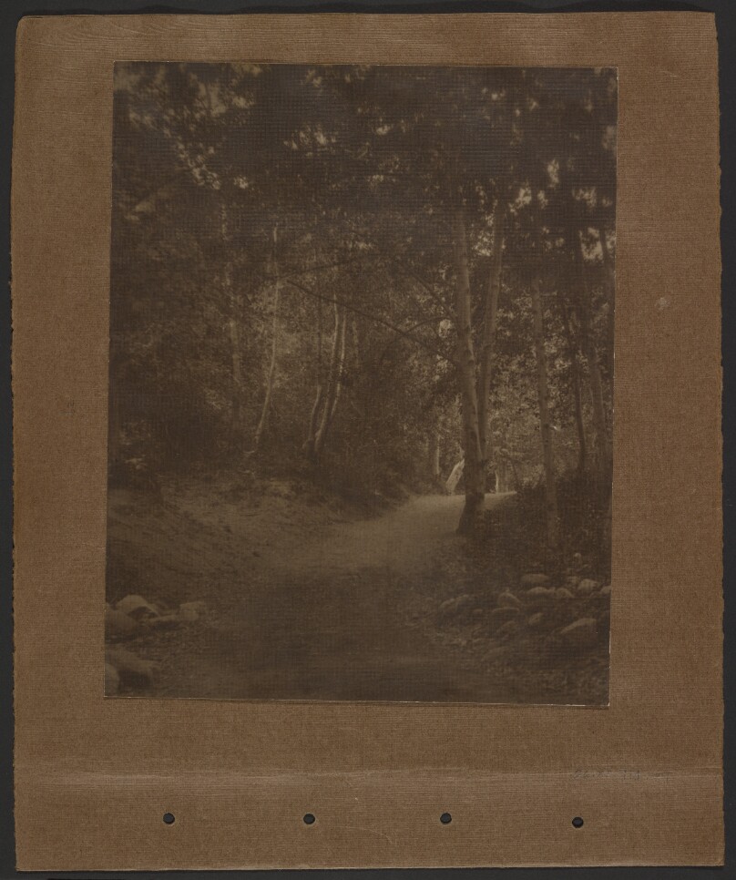 [Path in woods]