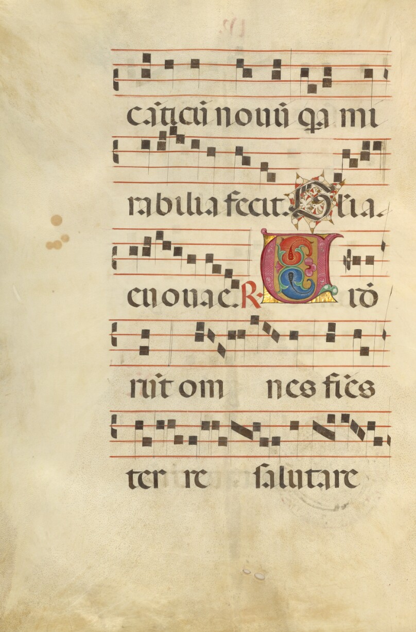 Decorated Initial V