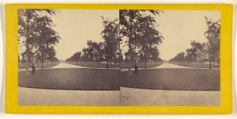 A Visit to the "Central Park" in the Summer of 1863. The Mall, Looking North.