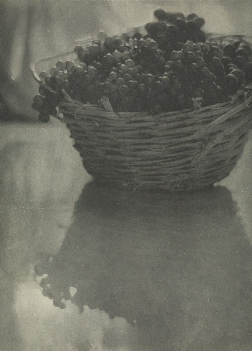[Still Life with Grapes]