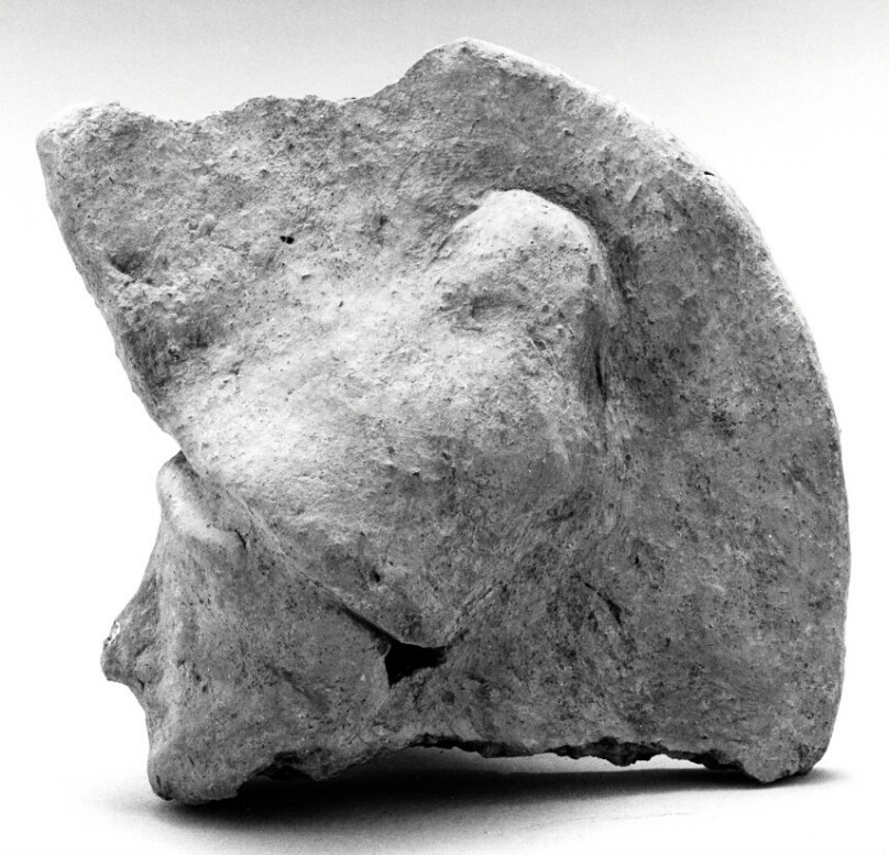 Warrior Head