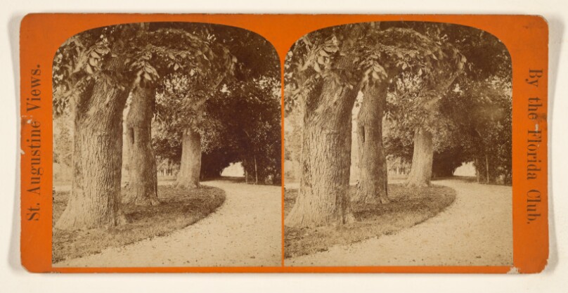 Ball's Carriage Road And Showing the Orange Archway in the distance.