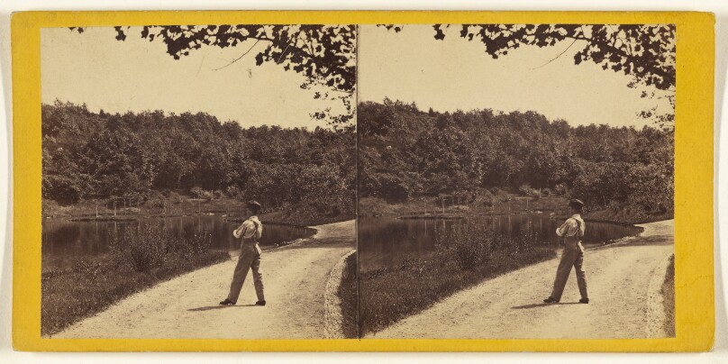 Central Park. (New York.) View on the Upper Lake.