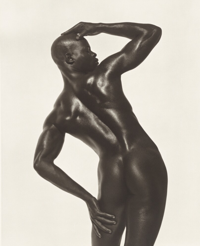 Djimon Three-Quarter Nude, Profile, Hollywood