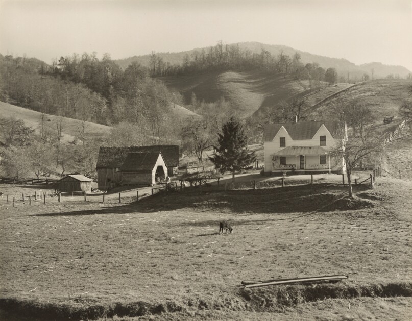 Farm Homestead, Virginia or North Carolina