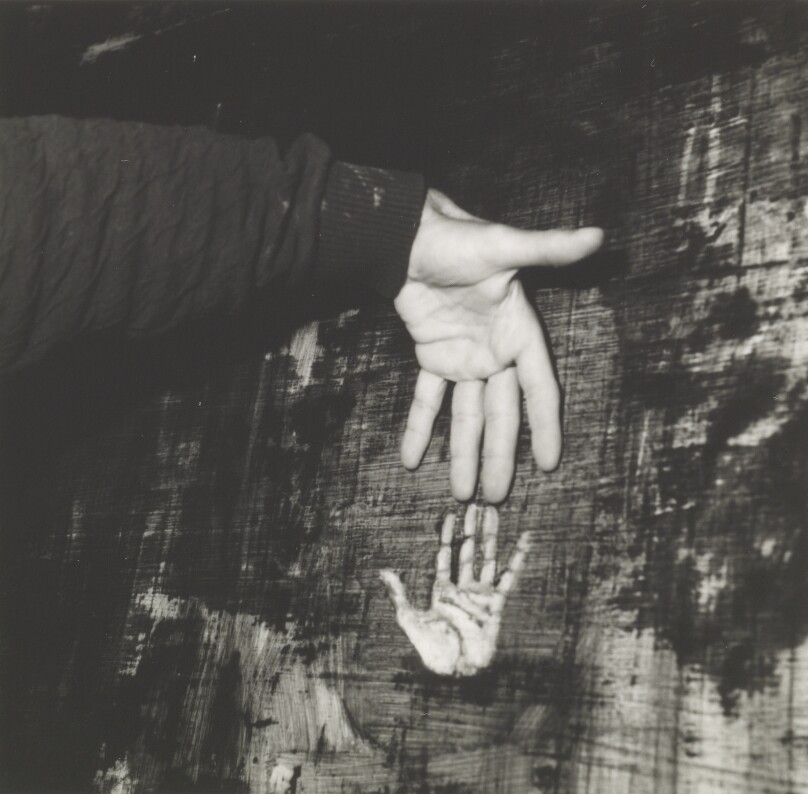 Ross Bleckner
