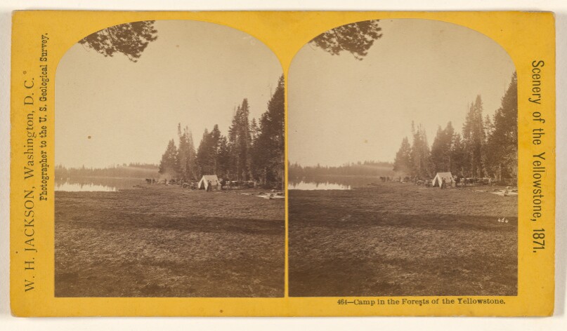 Camp in the Forest of the Yellowstone.